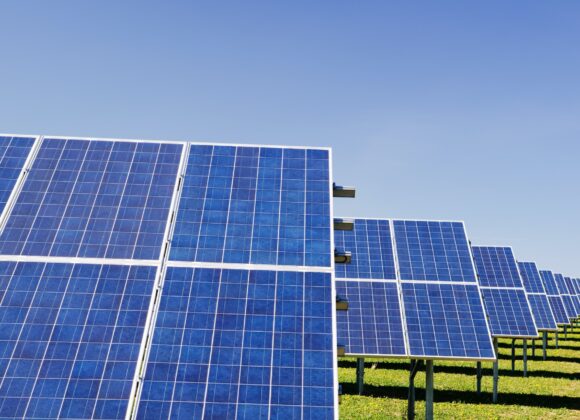 Empowering a Solar Panel Distributor with Short-Term Working Capital