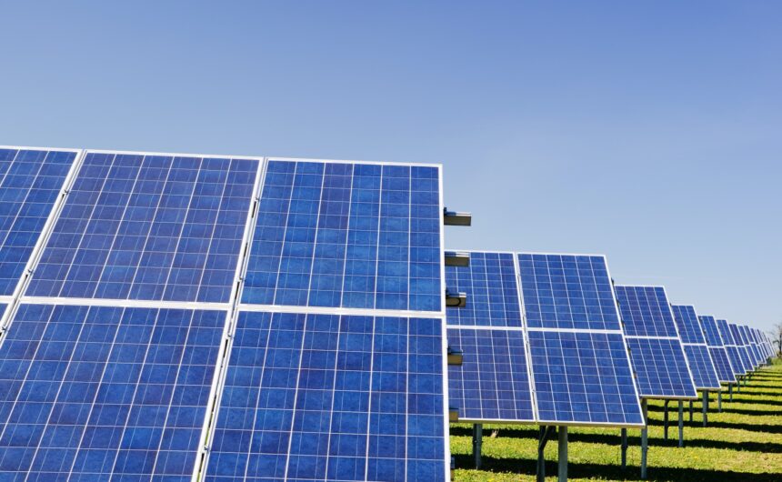 Empowering a Solar Panel Distributor with Short-Term Working Capital